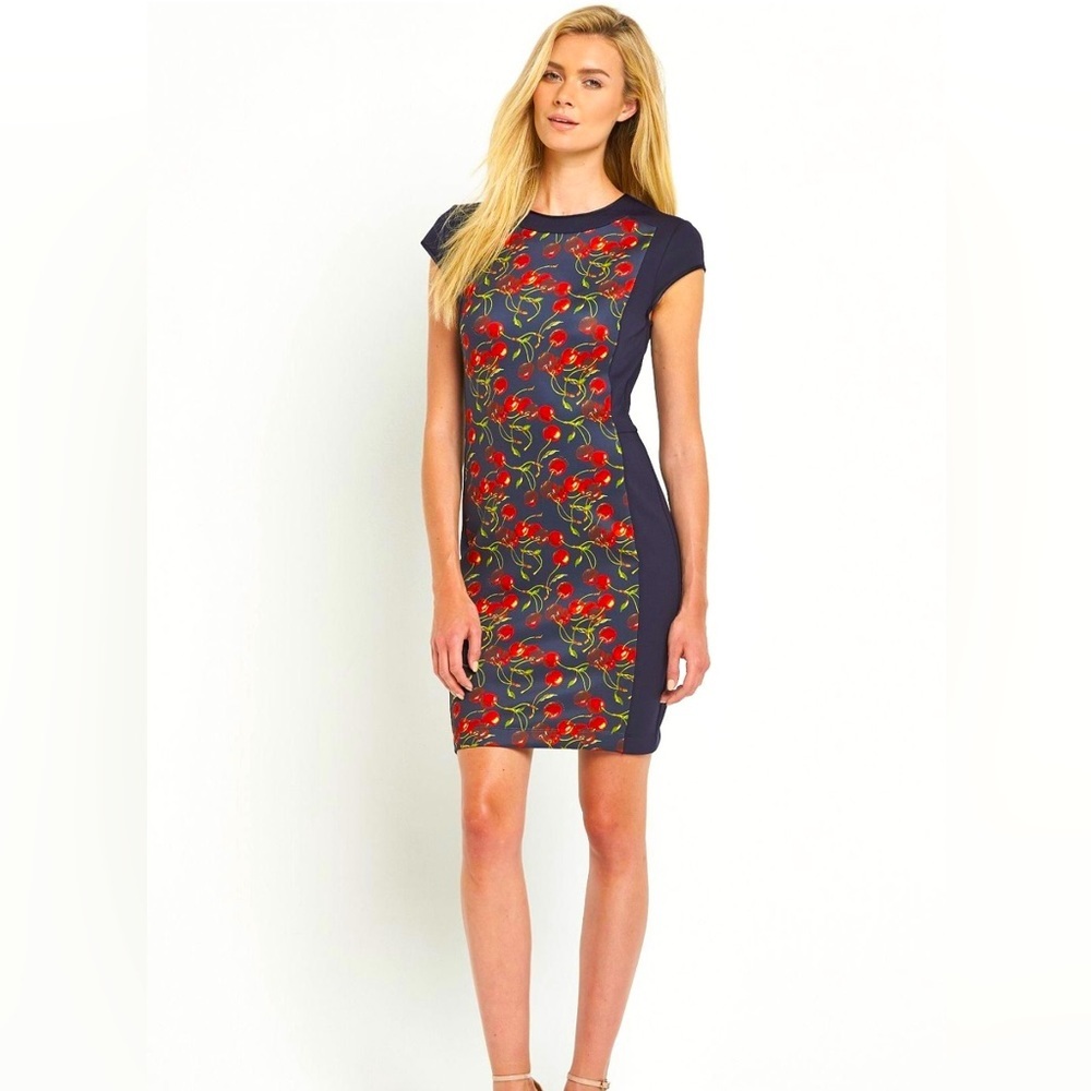 Ted Baker Luski Cherry Print Panel Body Dress